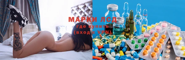 молекула духа Арсеньев