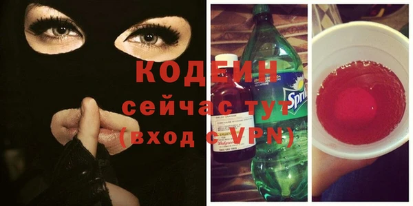 молекула духа Арсеньев