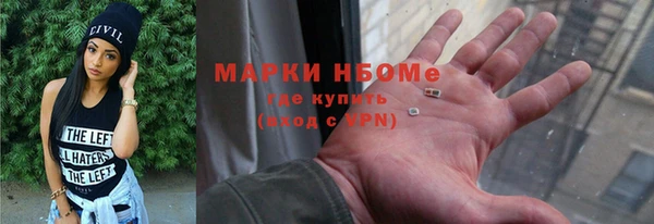 молекула духа Арсеньев