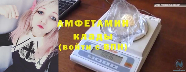 молекула духа Арсеньев