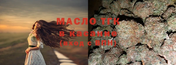 молекула духа Арсеньев